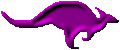 ausiconkang5.gif