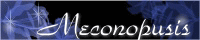 banner-moon2.gif