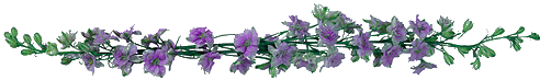 flbar79.gif