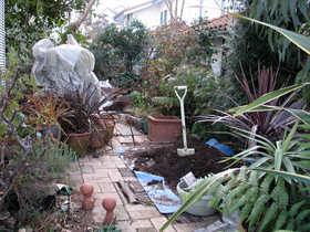 garden212_s.jpg