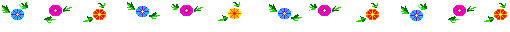 hummbird_e0