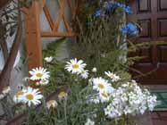 margaret_s