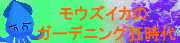 mozbanner1.gif