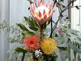 ozflowerup_s.jpg