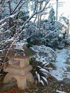 snow