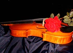 vrose513_s.jpg